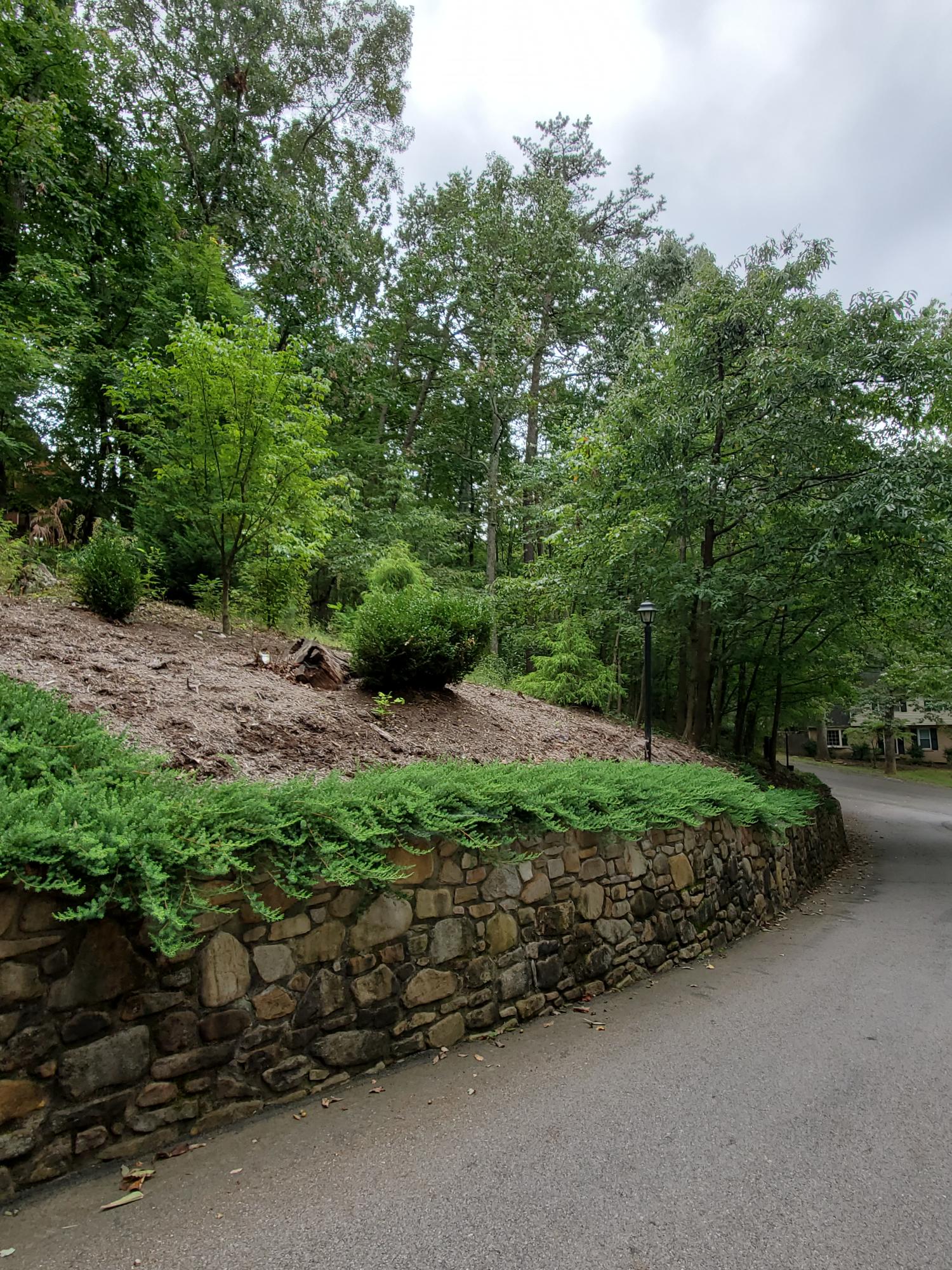 3337 Forest Ridge Road Roanoke, VA 24018 - Photo 35 of 36 a view of a garden with a plants and trees