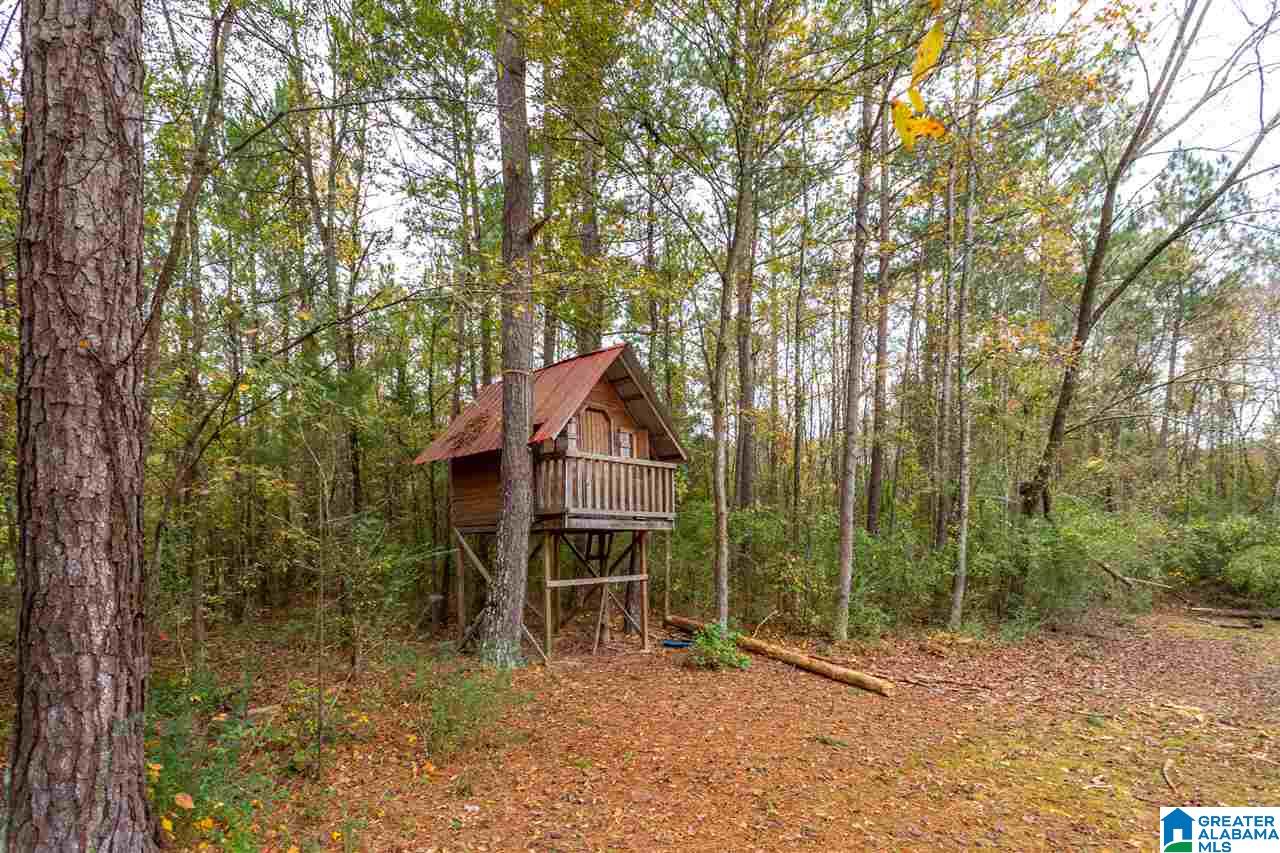 74 Hidden Hills Road Jacksonville, AL 36265 - Photo 37 of 43