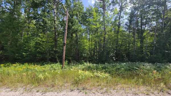 $25,000 | 15097 Avenue D Wolverine Mi 49799, Unit AVENUE DU CHALET LOT: 100, Wolverine, MI 49799