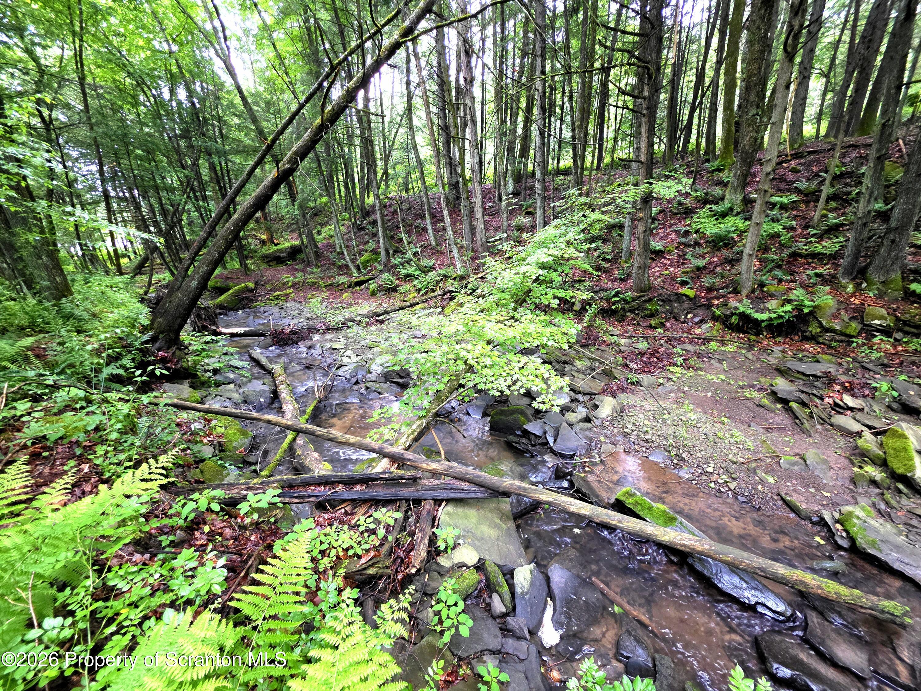 Pratt Hollow Road Nicholson, PA 18446 - Photo 13 of 18 Willow Brook creek
