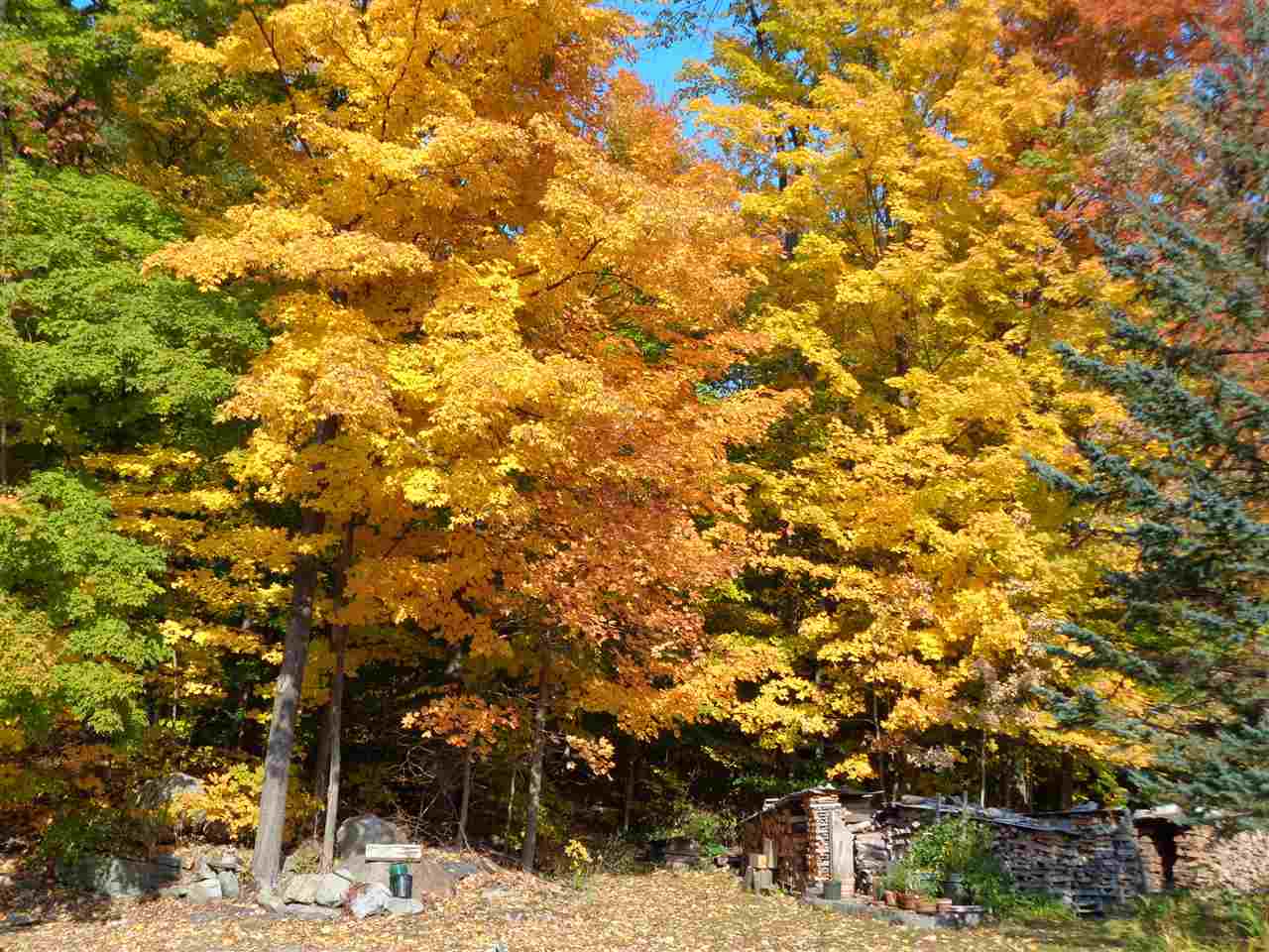 641 Rockydale Road Bristol, VT 05443 - Photo 10 of 26