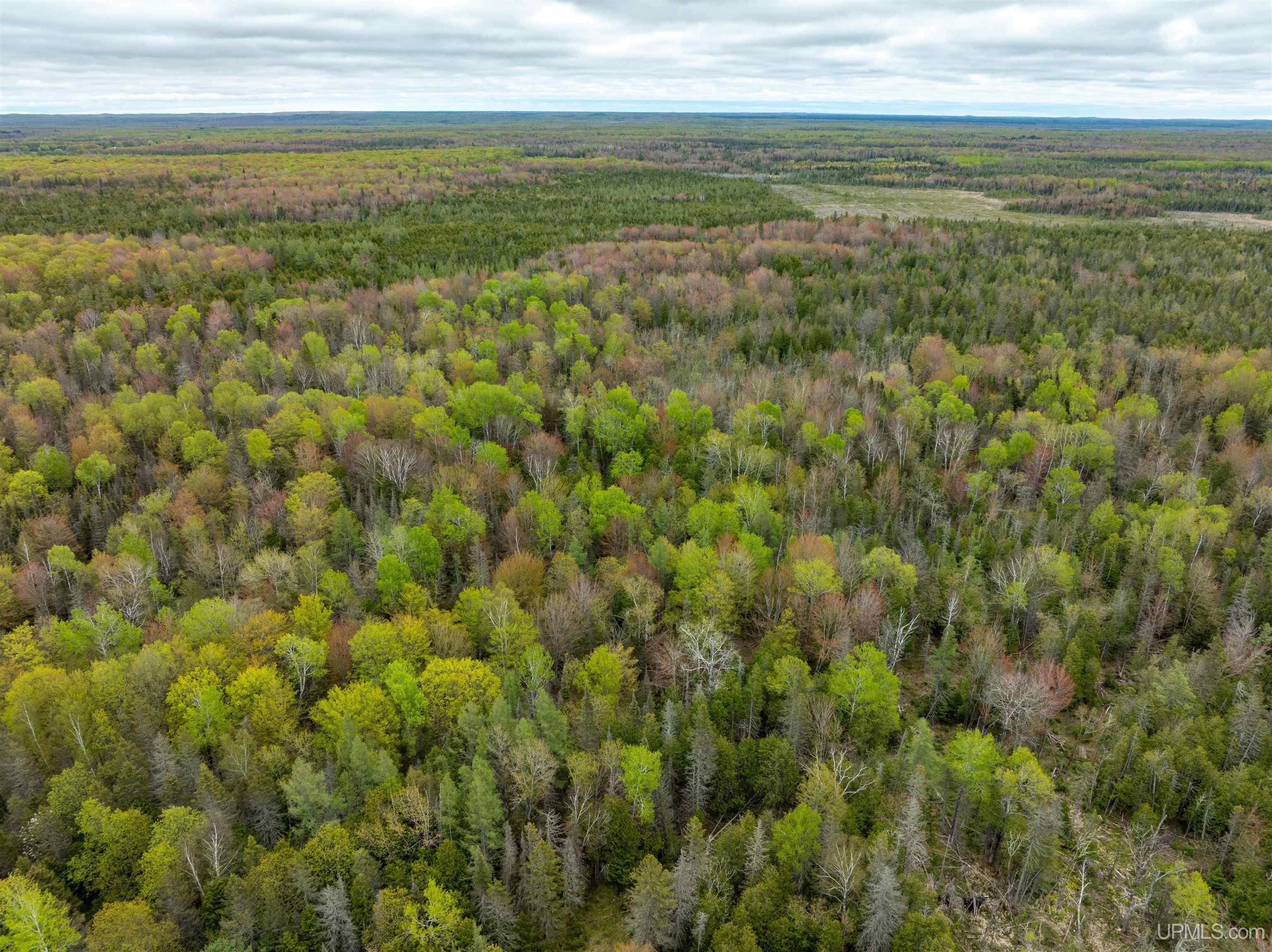 Tbd Et Road Trenary, MI 49891 - Photo 11 of 18 Gallery Image 11
