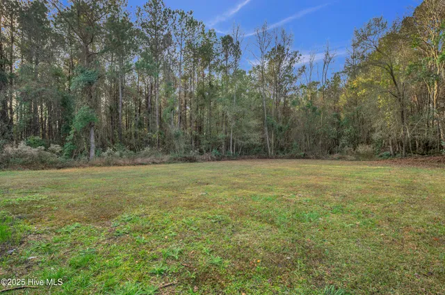 $339,000 | 4993 Penderlea Highway, Willard, NC 28478