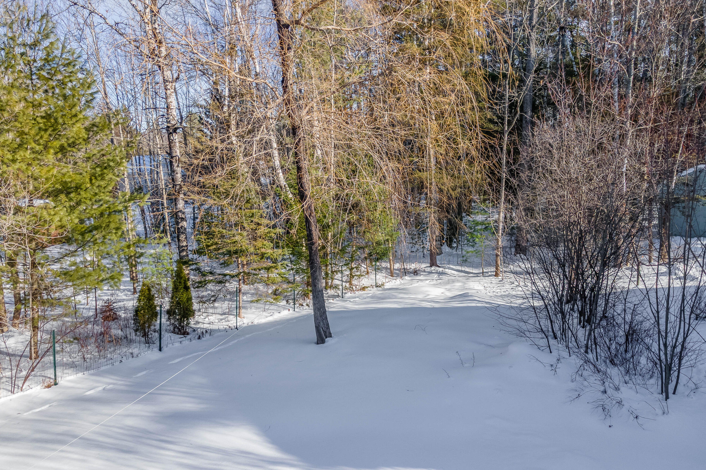 30 Yankee Avenue Bangor, ME 04401 - Photo 37 of 45 Backyard