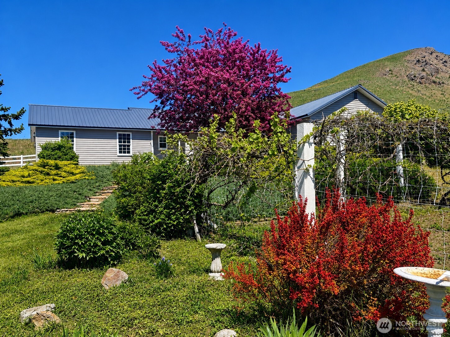 492 Pine Creek Road Tonasket, WA 98855 - Photo 23 of 37 a view of a house with a big yard plants and large tree