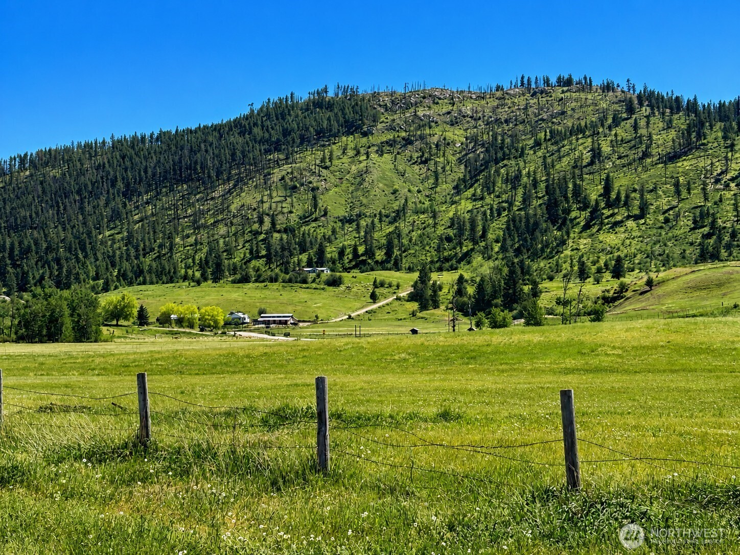 492 Pine Creek Road Tonasket, WA 98855 - Photo 26 of 37 a view of a golf course with a yard