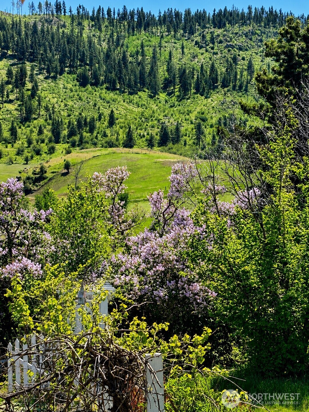 492 Pine Creek Road Tonasket, WA 98855 - Photo 27 of 37 a view of a garden with a tree