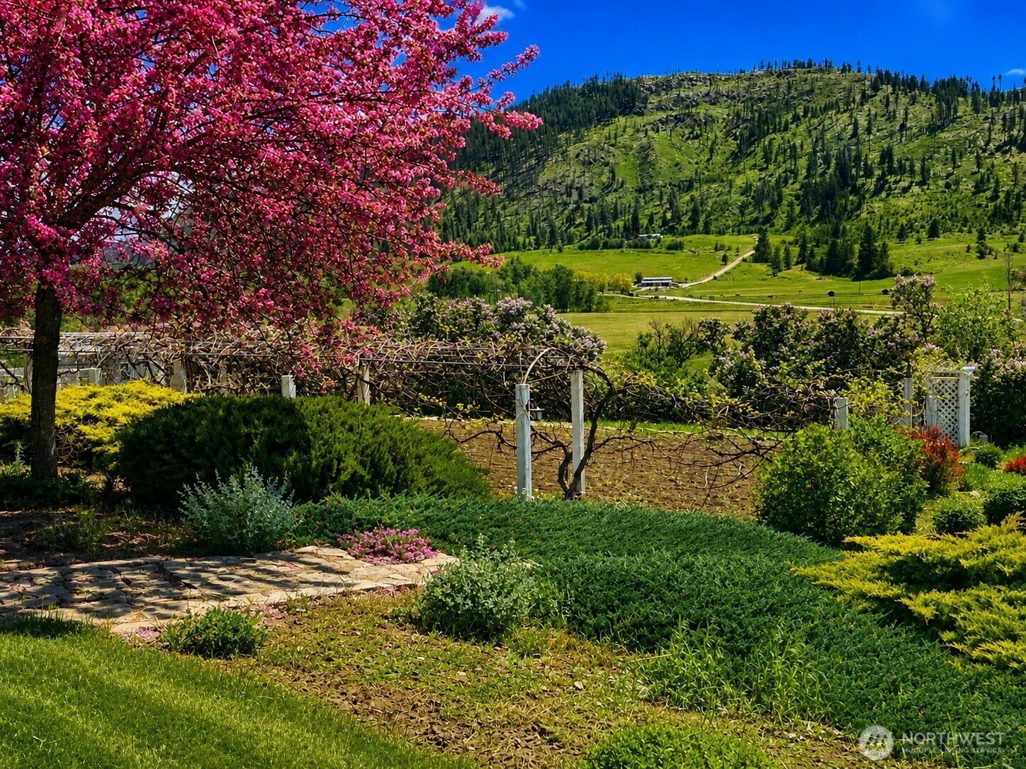 492 Pine Creek Road Tonasket, WA 98855 - Photo 34 of 37 a view of a garden with a building in the background