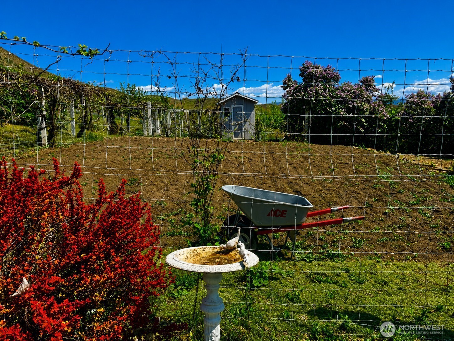 492 Pine Creek Road Tonasket, WA 98855 - Photo 36 of 37 a view of a swimming pool with a yard and plants