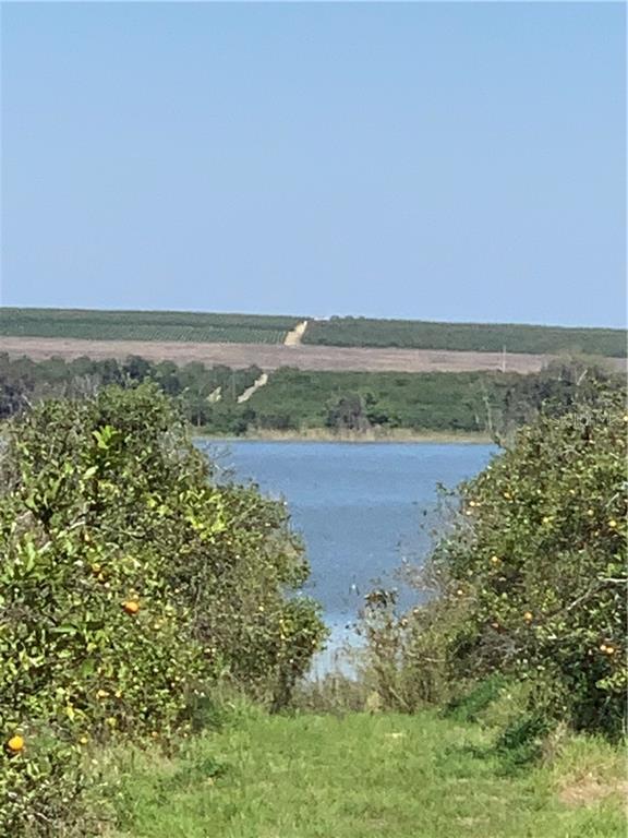 VIEW FROM LOT 4
