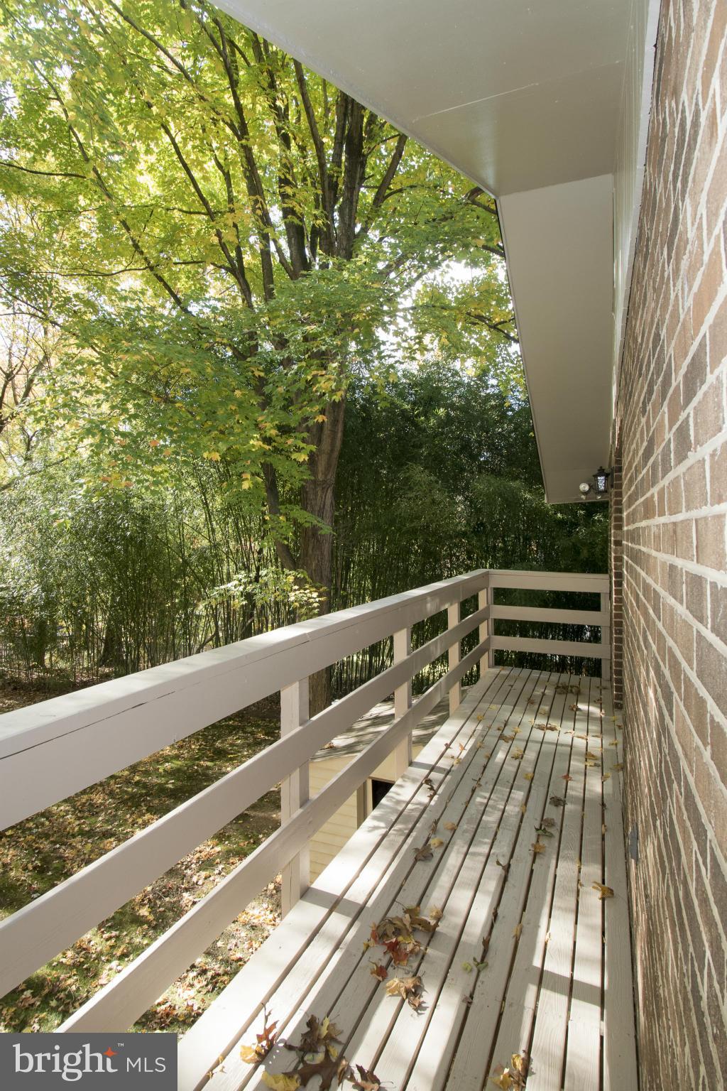 7716 Bells Mill Road Bethesda, MD 20817 - Photo 6 of 30 Exterior (Rear)