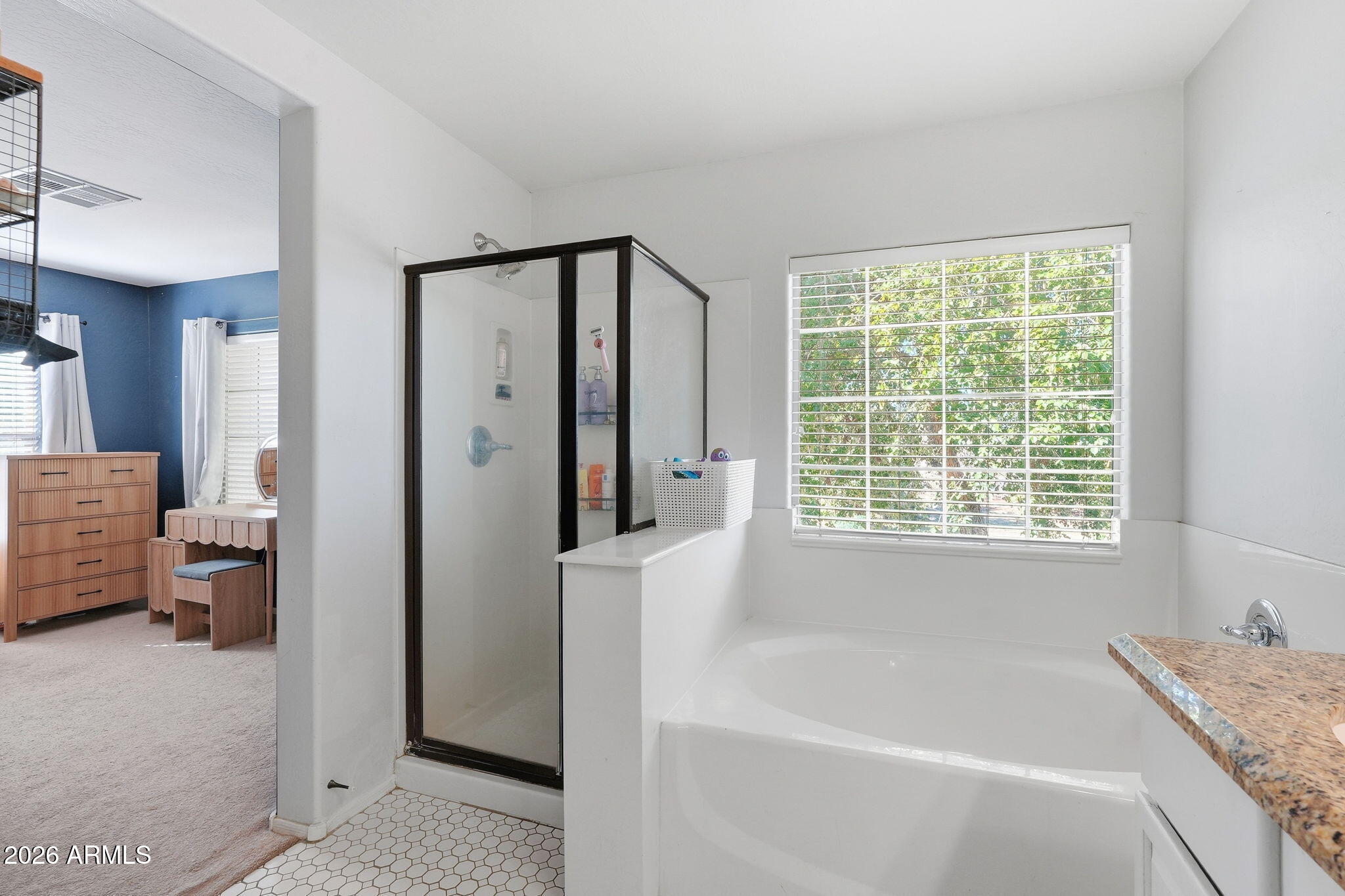 1646 East Joseph Way Gilbert, AZ 85295 - Photo 27 of 38 Master Bathroom