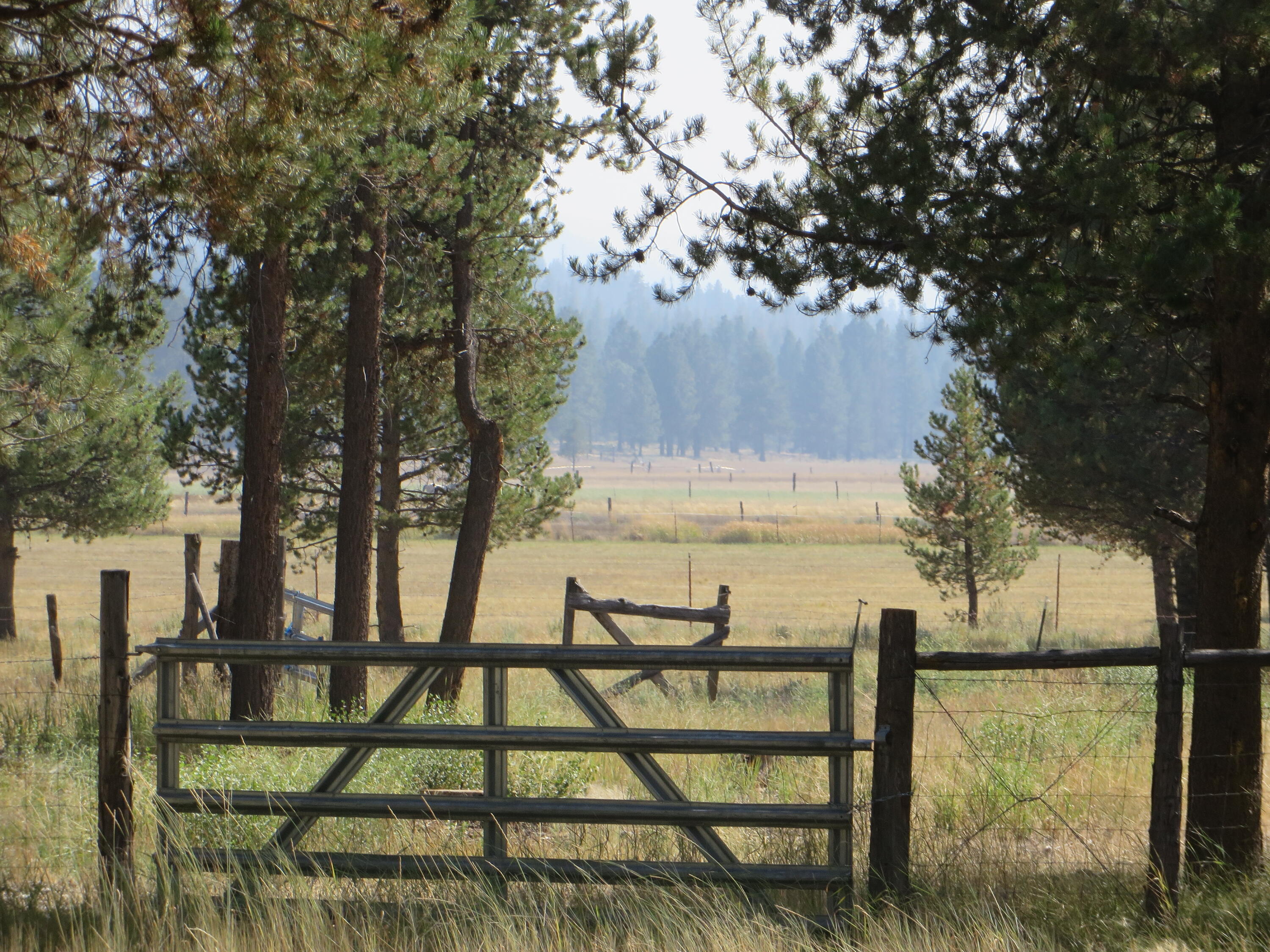 40020 9 Mile Road Chiloquin, OR 97624 - Photo 36 of 54 Looking out into the pasture area