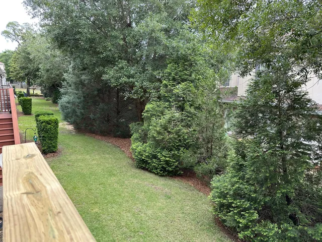 a view of a garden with plants and large trees