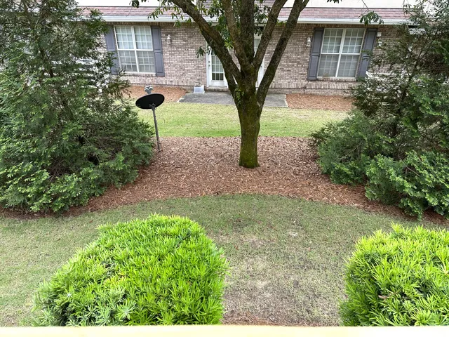 a view of a backyard with a tree