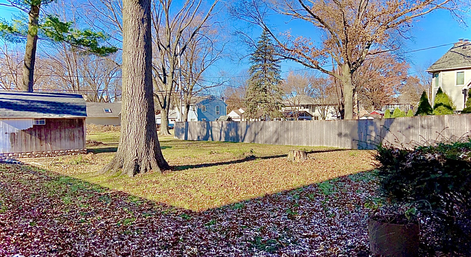 641 North Wright Street Naperville, IL 60563 - Photo 4 of 25 a view of a yard with plants and a tree