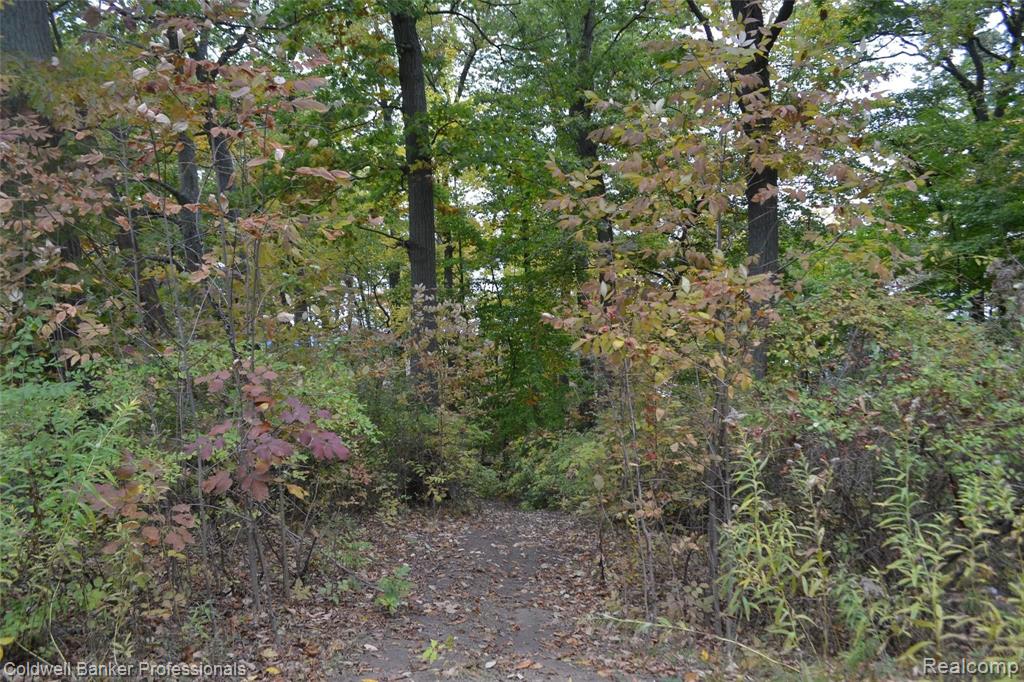 2065 Gray Road Lapeer, MI 48446 - Photo 4 of 7