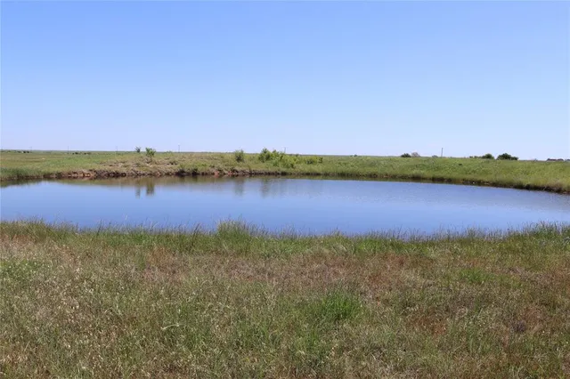 a view of a field with an trees