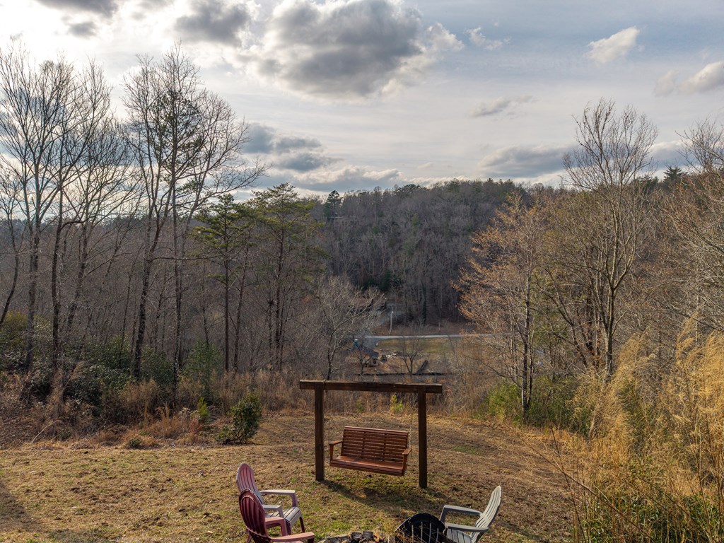 153 Riverview Circle Blue Ridge, GA 30513 - Photo 11 of 83