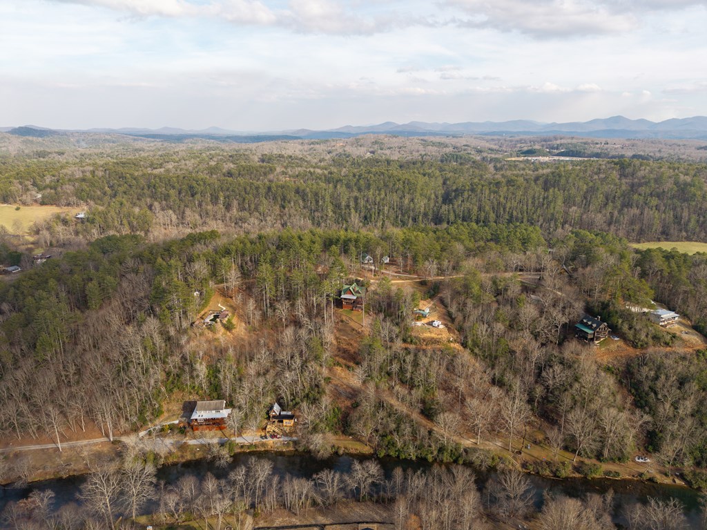 153 Riverview Circle Blue Ridge, GA 30513 - Photo 19 of 83