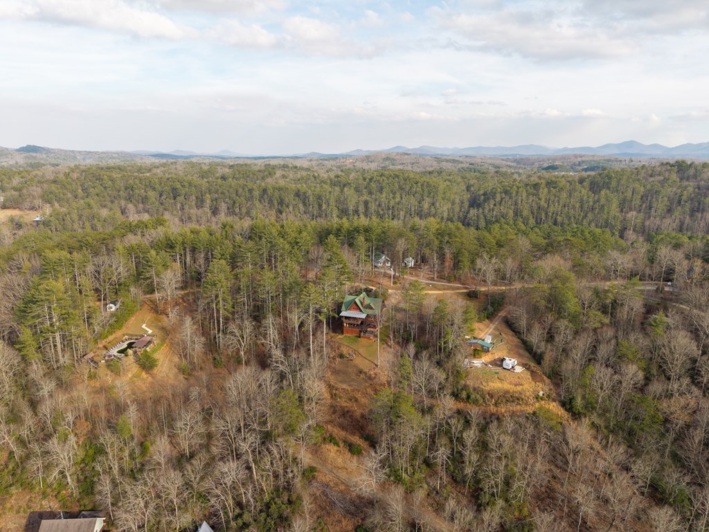 153 Riverview Circle Blue Ridge, GA 30513 - Photo 20 of 83