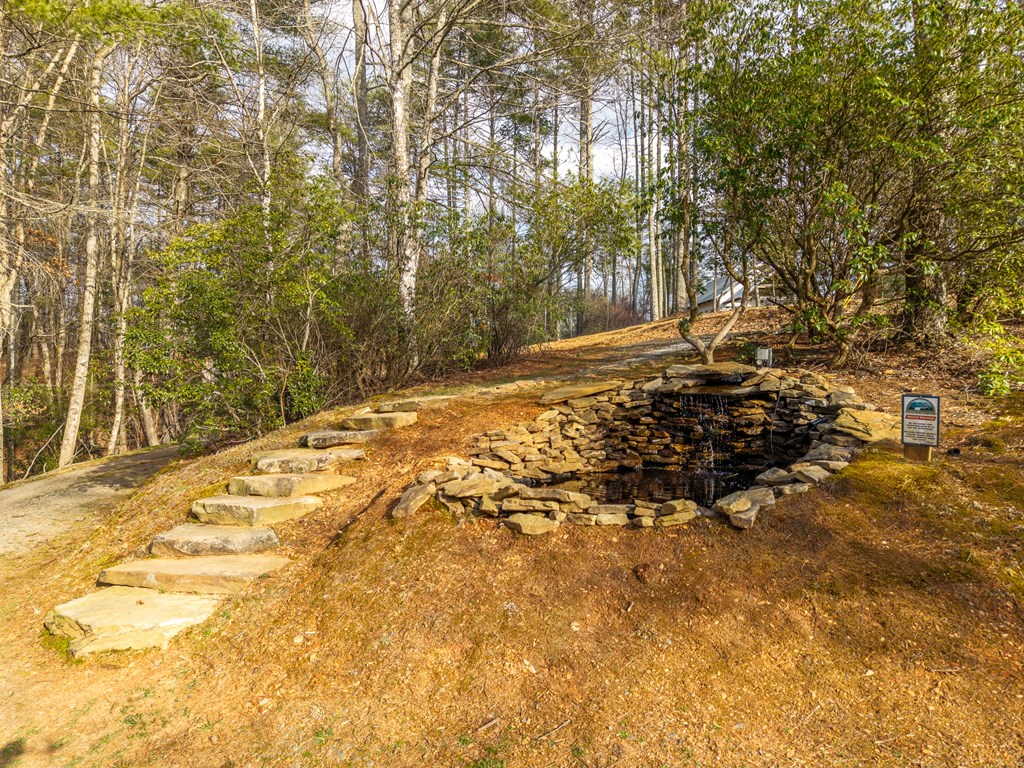 153 Riverview Circle Blue Ridge, GA 30513 - Photo 5 of 83