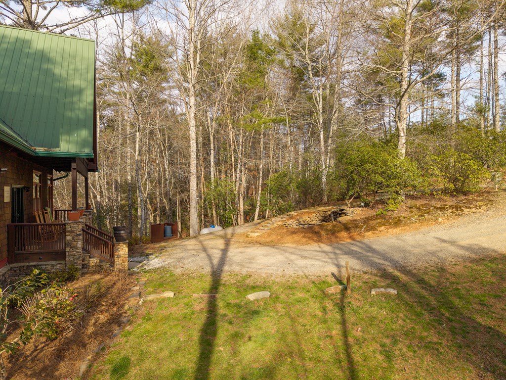 153 Riverview Circle Blue Ridge, GA 30513 - Photo 6 of 83