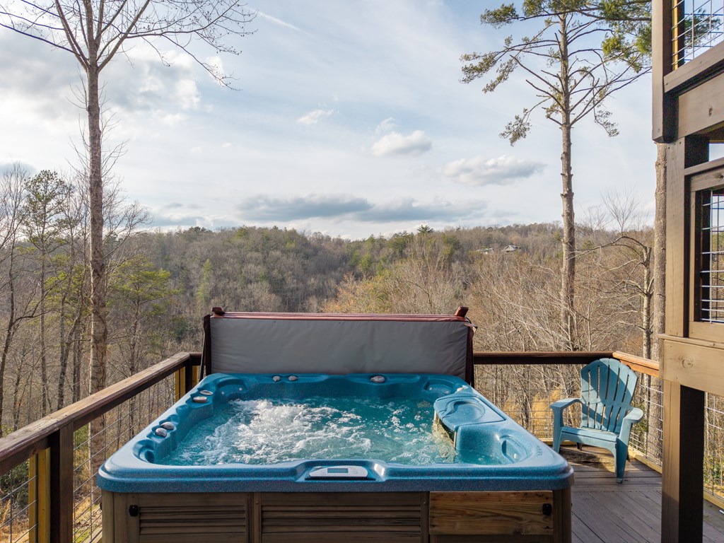 153 Riverview Circle Blue Ridge, GA 30513 - Photo 8 of 83