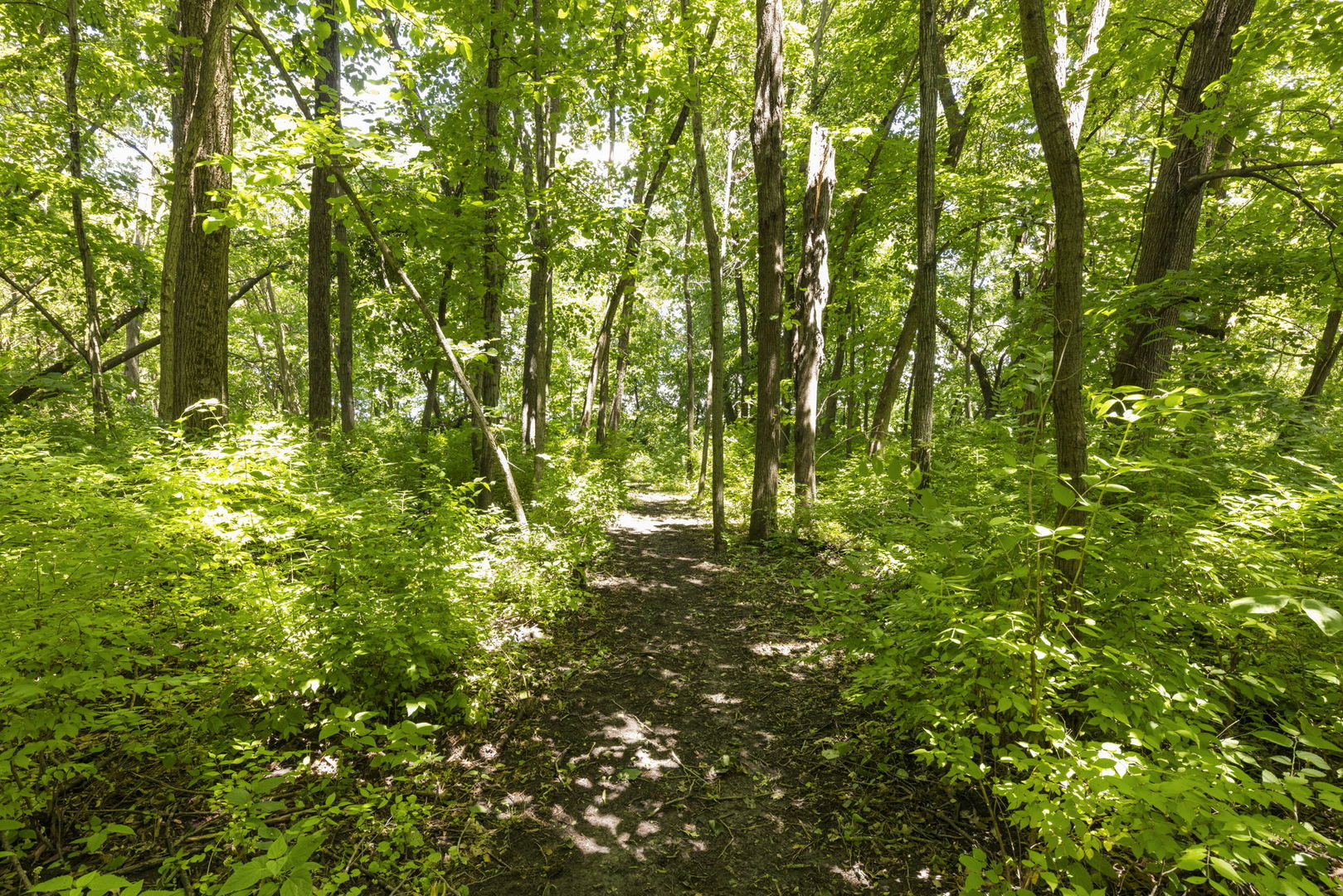 7479 Grove Road Oswego, IL 60543 - Photo 44 of 71