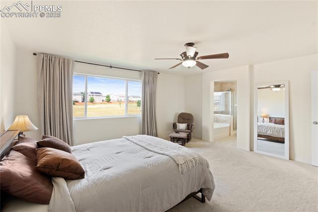 2245 Reed Grass Way Colorado Springs, CO 80915 - Photo 23 of 38 Gallery Image 23