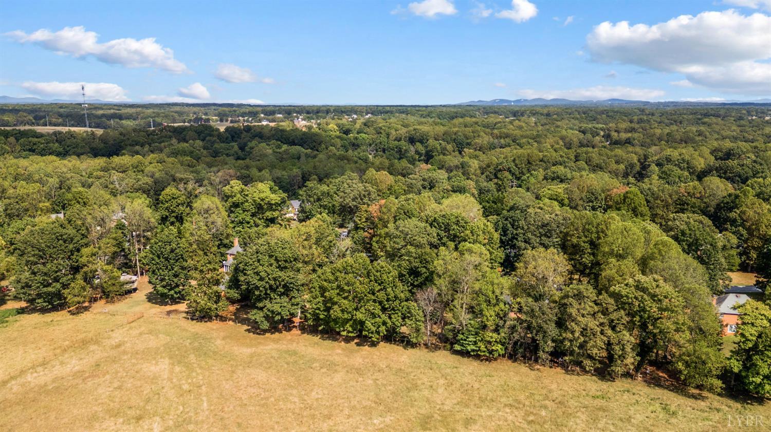 1214 Shadow Ridge Drive Forest, VA 24551 - Photo 87 of 92 Gallery Image 87