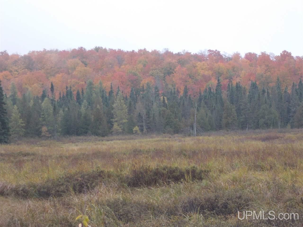 640-acres Peshekee Grade Road Skanee, MI 49946 - Photo 16 of 37