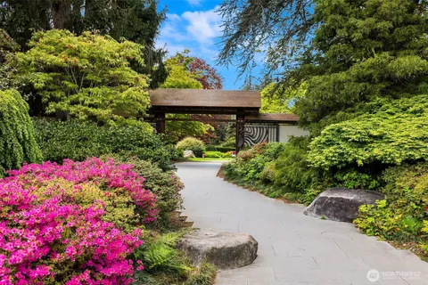 a view of a flower in a garden