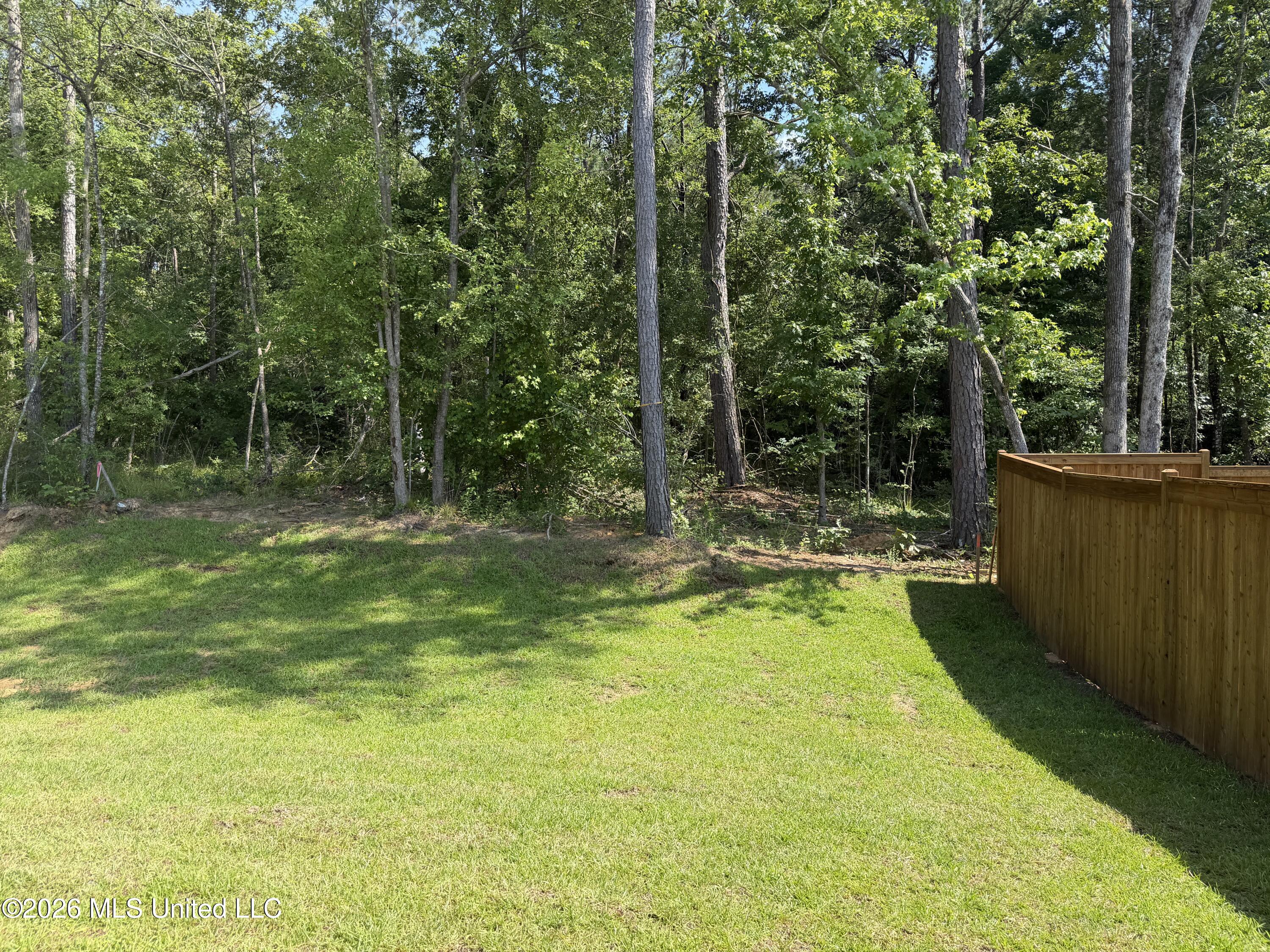 410 Hidden Reed Court Pearl, MS 39208 - Photo 13 of 16 IMG_6591
