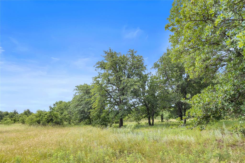 Tbd Berry Dairy Road Bryson, TX 76427 - Photo 10 of 39