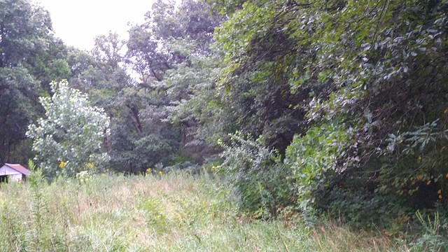 166 County Road Auxvasse, MO 65231 - Photo 11 of 27