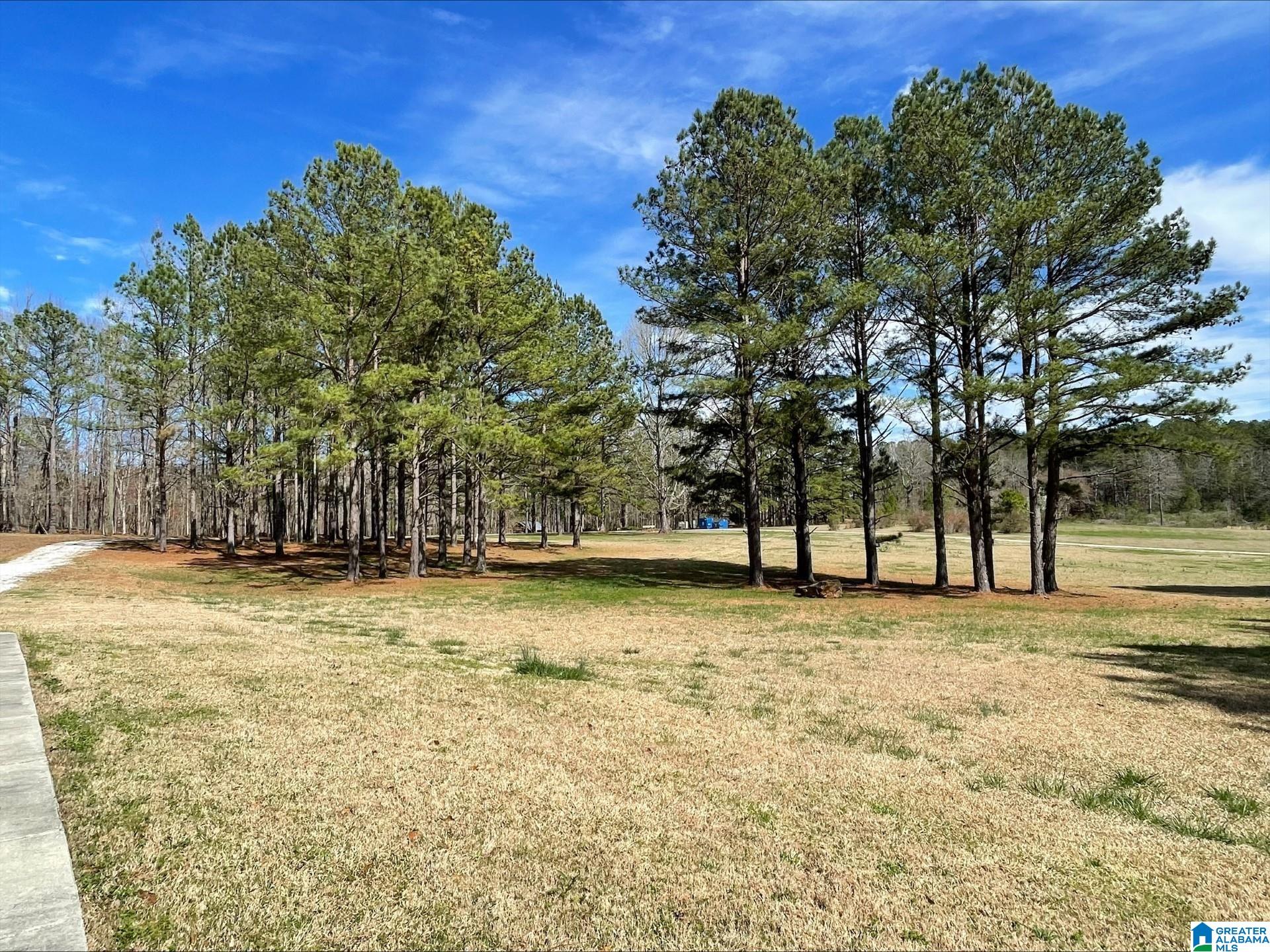 55 County Road 928 Delta, AL 36258 - Photo 23 of 28
