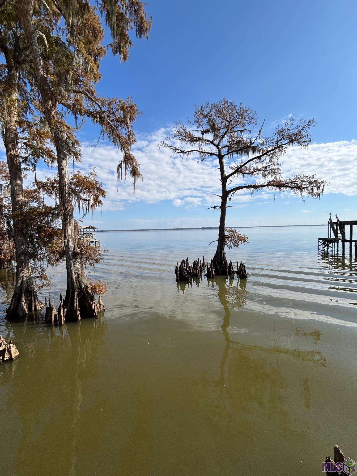 122 Lakeview Street Pierre Part, LA 70339 - Photo 18 of 18