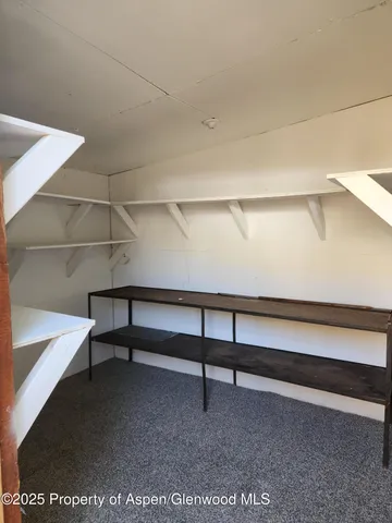 a view of road with large trees