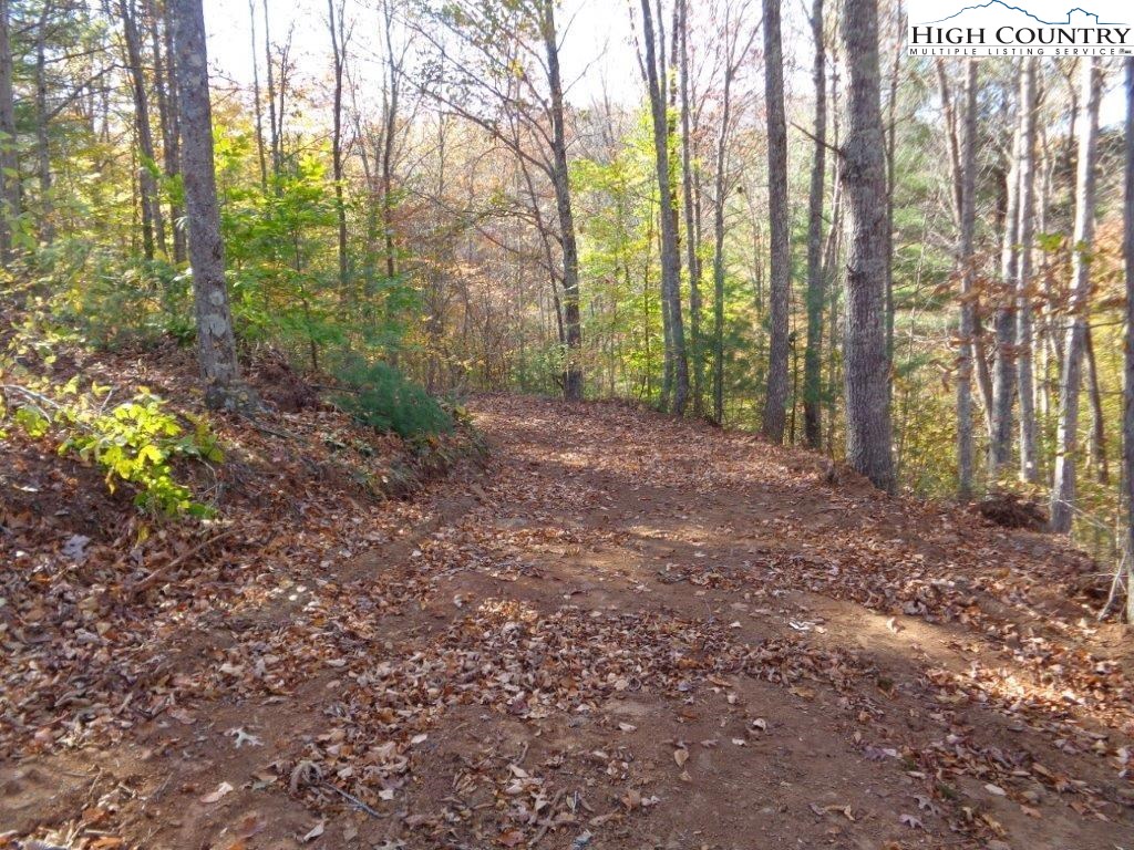 1 Chestnut Hill Road Crumpler, NC 28617 - Photo 8 of 22 Gallery Image 8