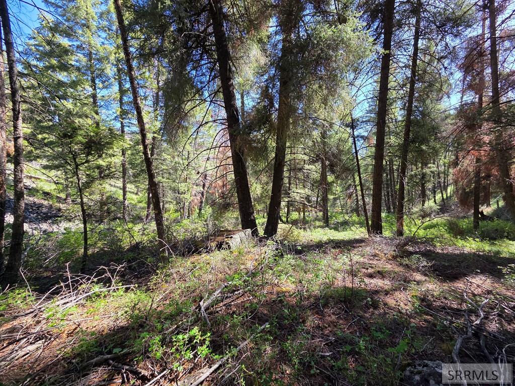 21 Pinetree Drive Salmon, ID 83467 - Photo 33 of 71