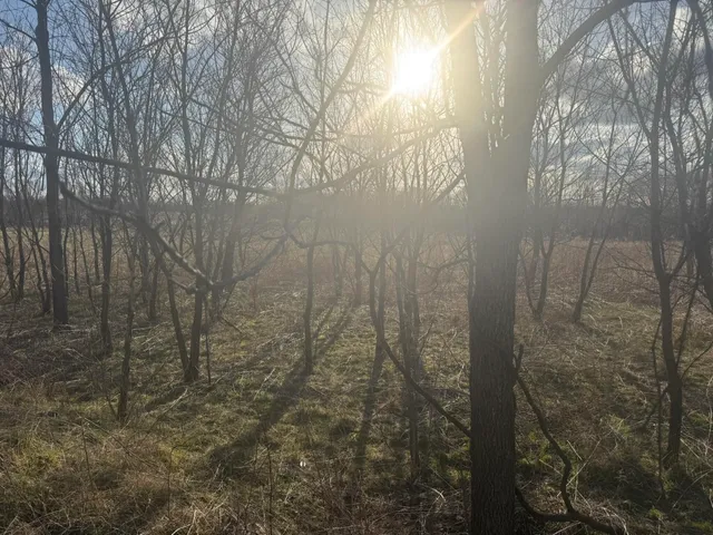 $35,000 | Eagle Pass Drive, Eaton Rapids, MI 48827