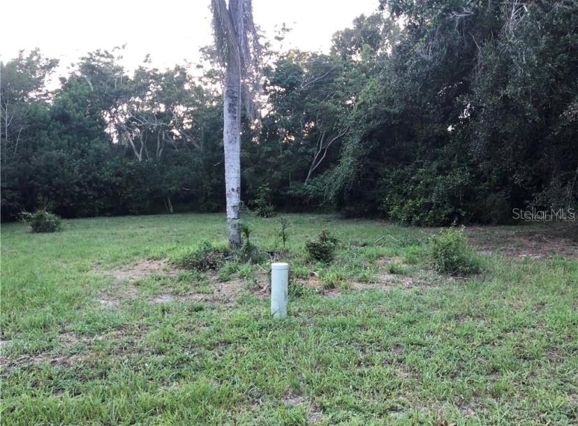 2180 Old Hickory Tree Road St. Cloud, FL 34769 - Photo 1 of 1 Gallery Image 1