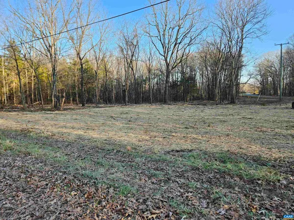 a view of a field with trees in the background