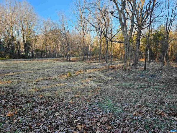 a view of dirt yard with trees