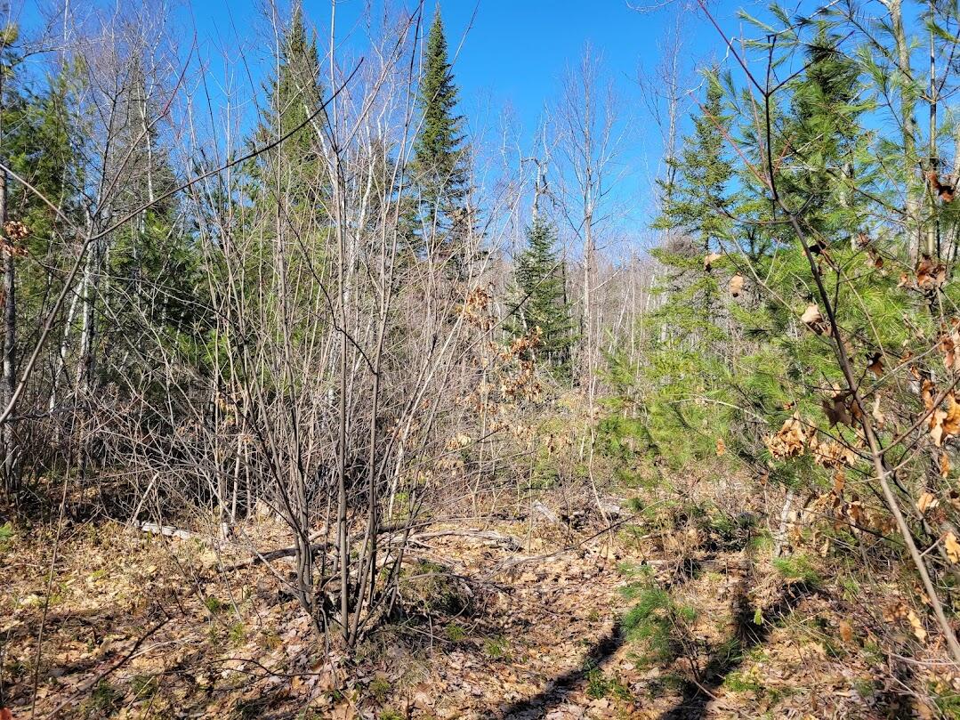 0 Norton Ridge Road Shapleigh, ME 04076 - Photo 6 of 10 20220402_151530