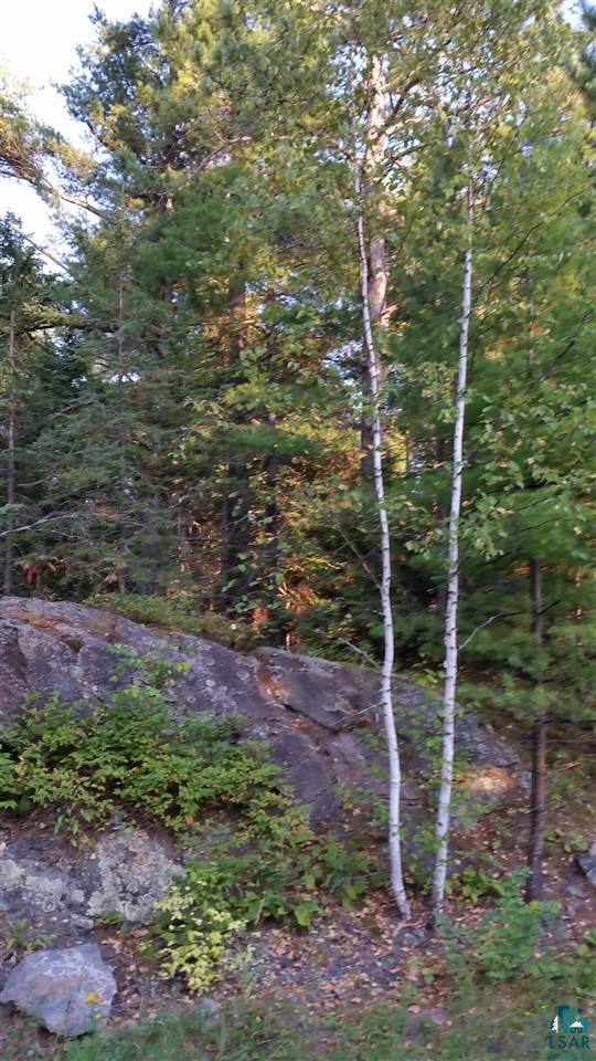 Xxx Thomson Road Esko, MN 55733 - Photo 11 of 14 Gallery Image 11