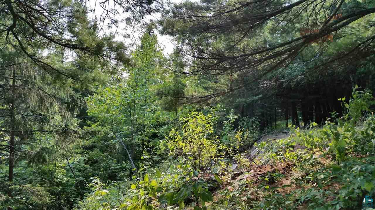 Xxx Thomson Road Esko, MN 55733 - Photo 2 of 14 Gallery Image 2