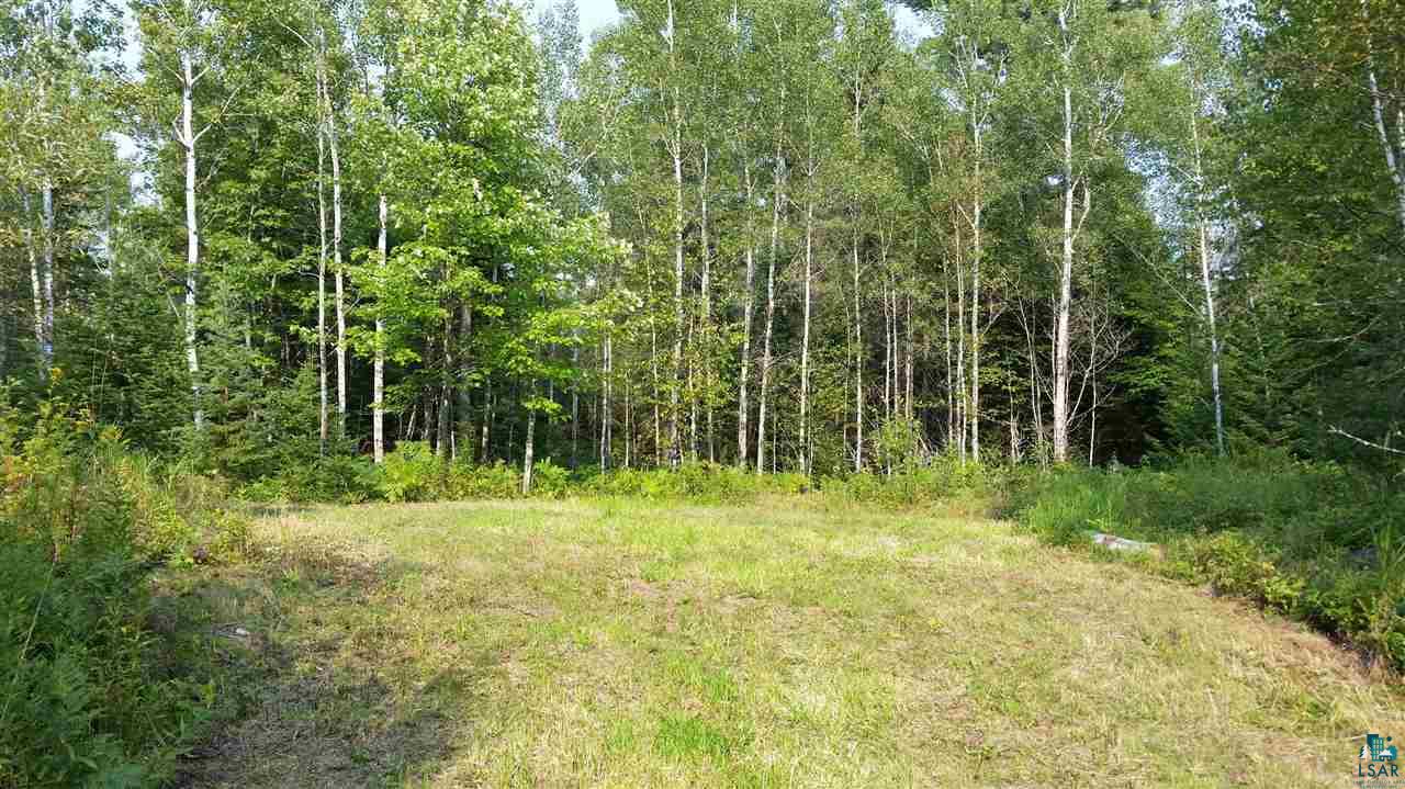 Xxx Thomson Road Esko, MN 55733 - Photo 3 of 14 Gallery Image 3