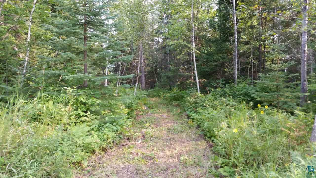 Xxx Thomson Road Esko, MN 55733 - Photo 6 of 14 Gallery Image 6